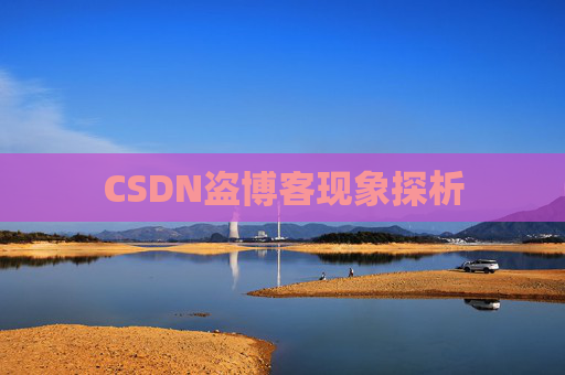 CSDN盗博客现象探析 CSDN盗博客现象探析